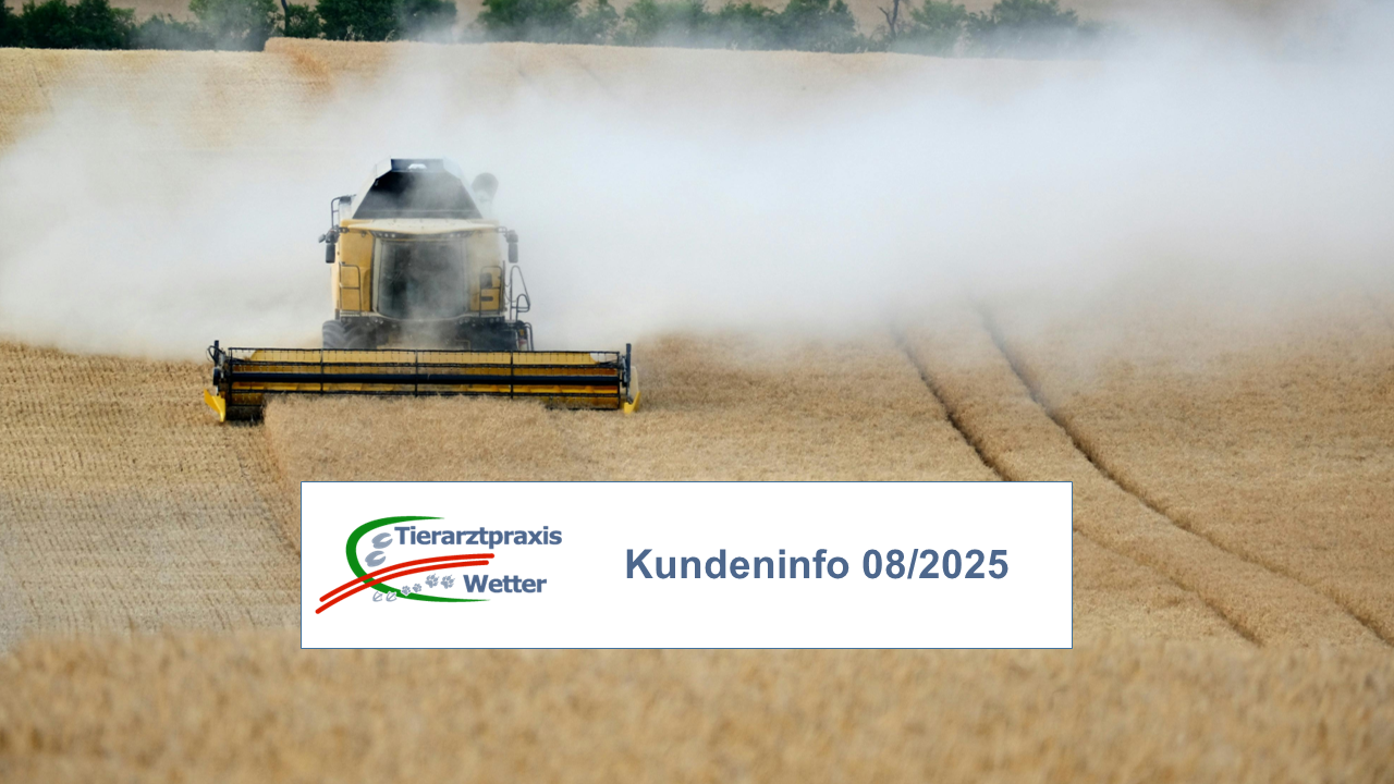 Kundeninfo August 2025