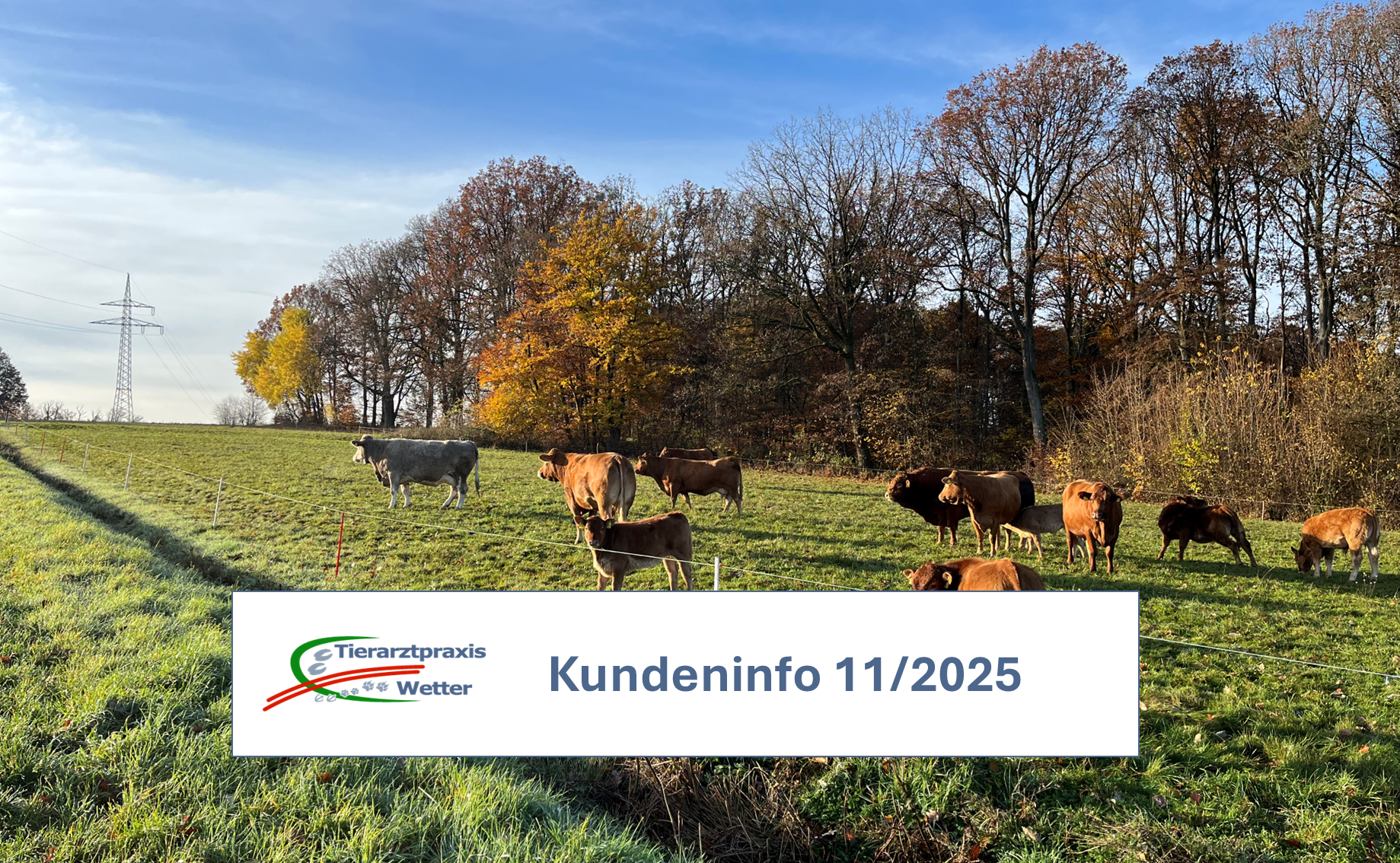 Kundeninfo November 2025