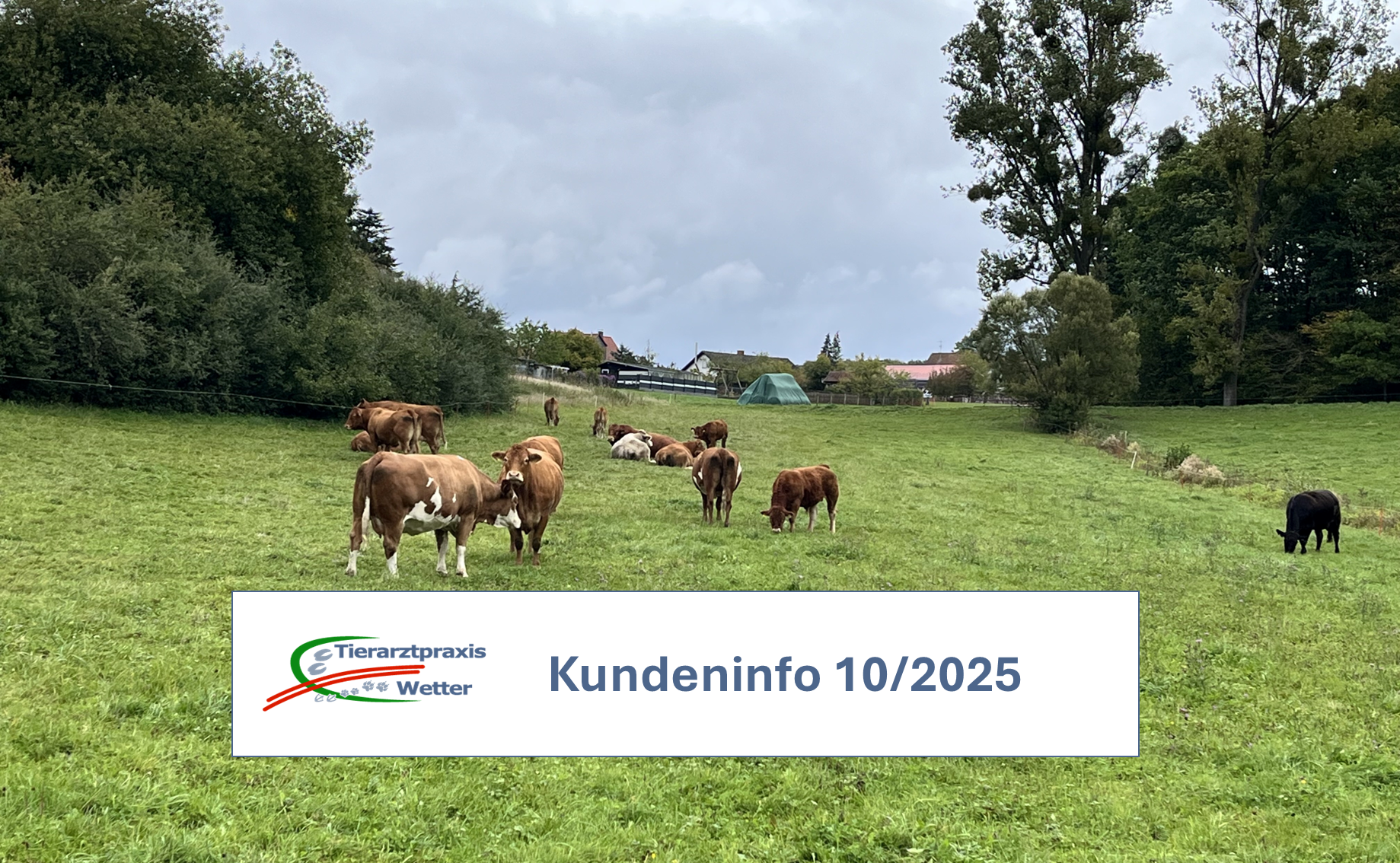 Kundeninfo Oktober 2025