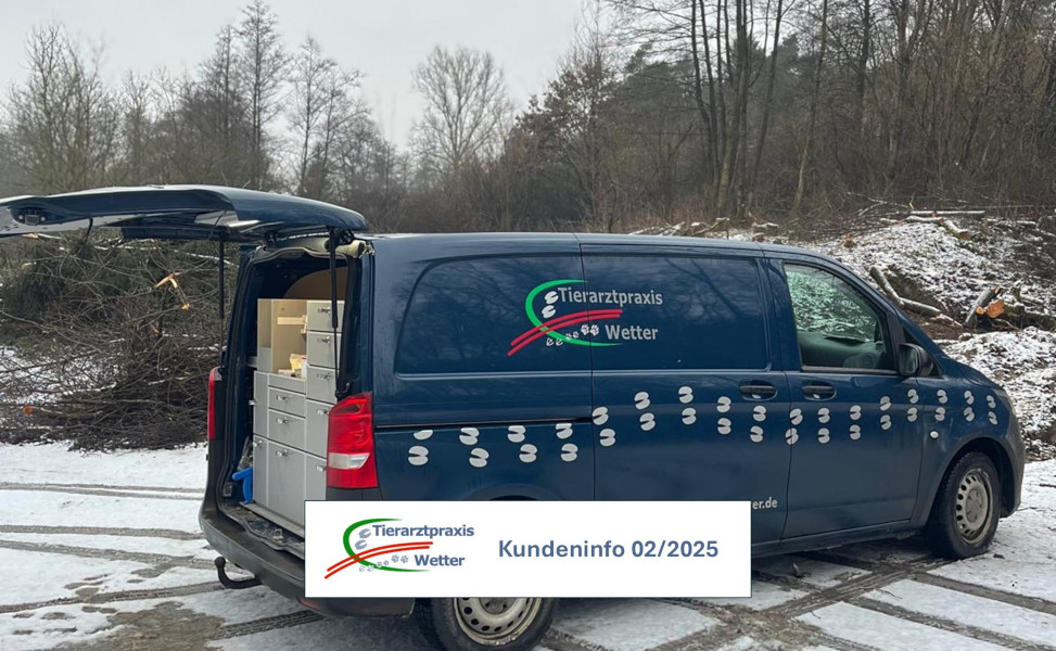 Praxis-Bus der Tierarztpraxis Wetter im Schnee