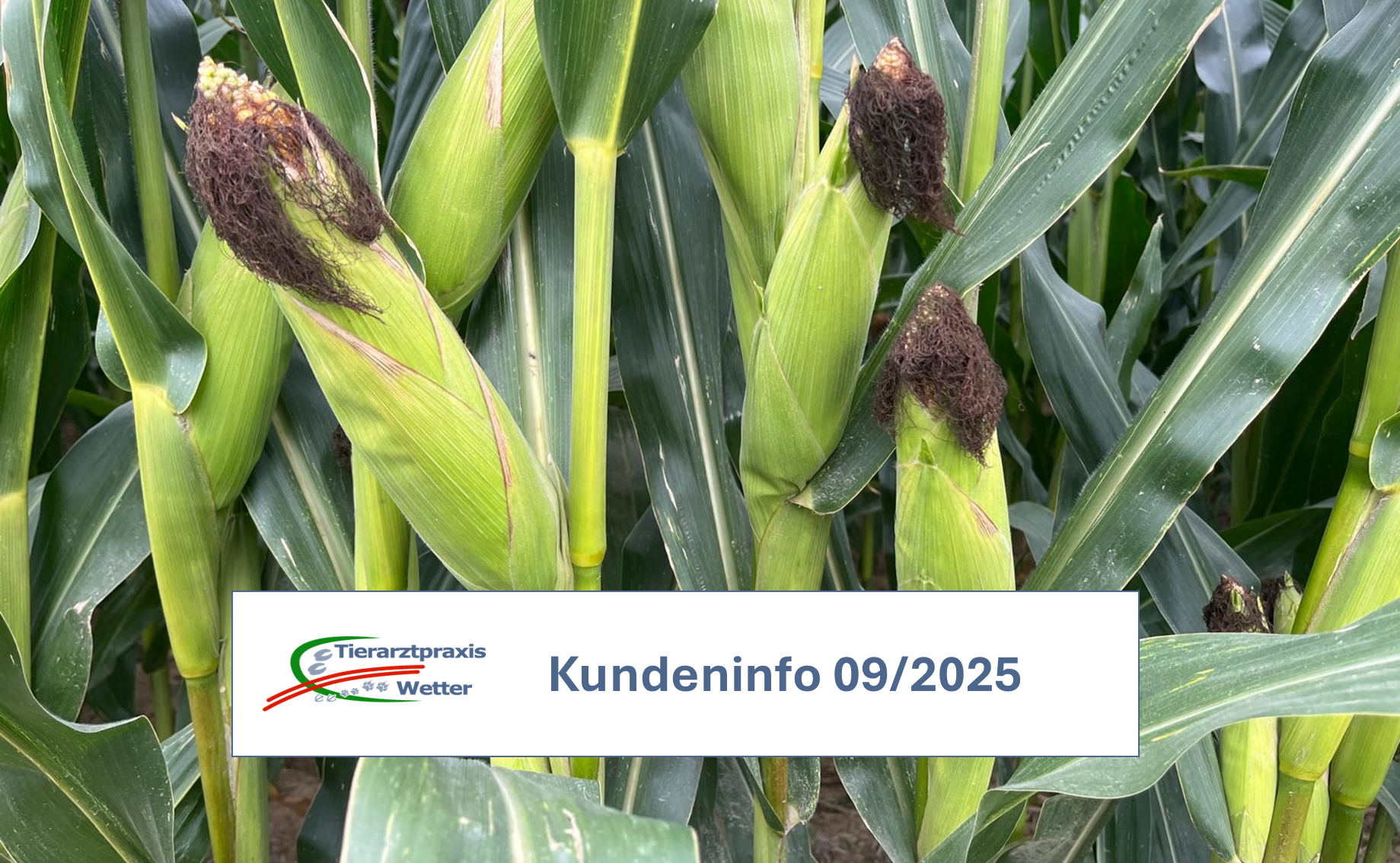 Kundeninfo September 2025